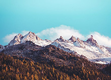 郑钦文止步WTA1000马德里网球公开赛单打次轮